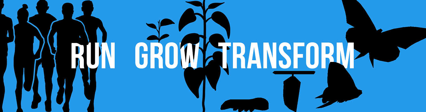 RUN GROW TRANSFORM